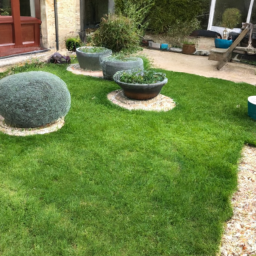 Techniques de taille pour maintenir un jardin esthétique et en bonne santé Chatillon